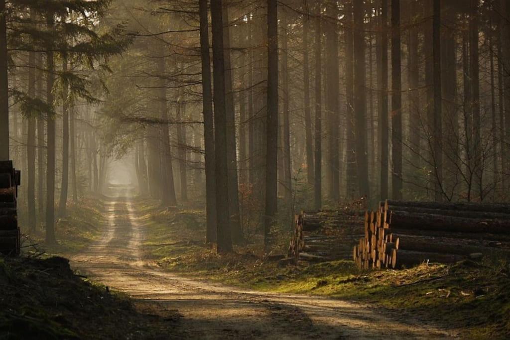 Reewold Veluwe Villa Putten Luaran gambar