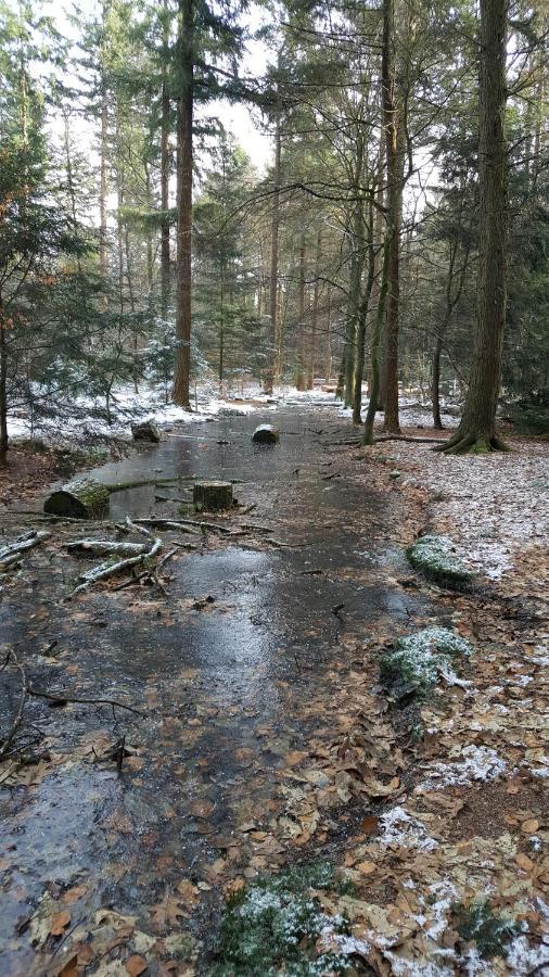 Reewold Veluwe Villa Putten Luaran gambar