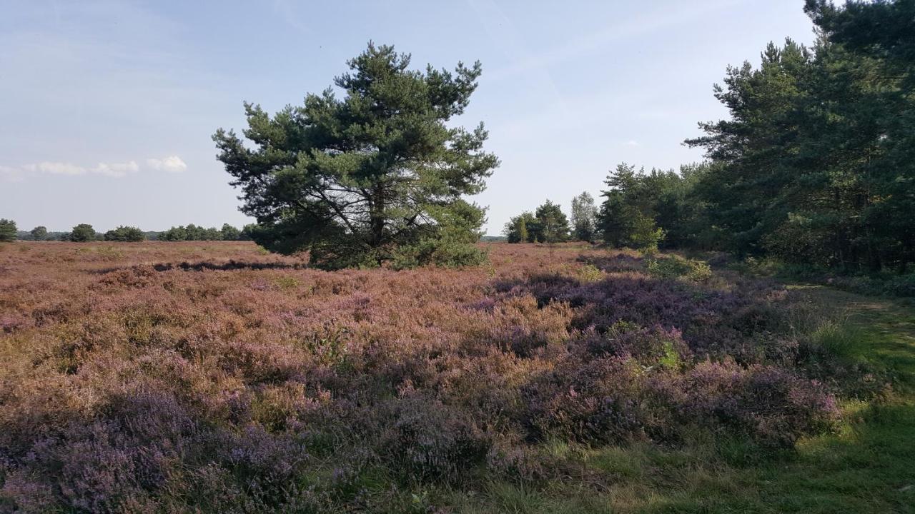 Reewold Veluwe Villa Putten Luaran gambar