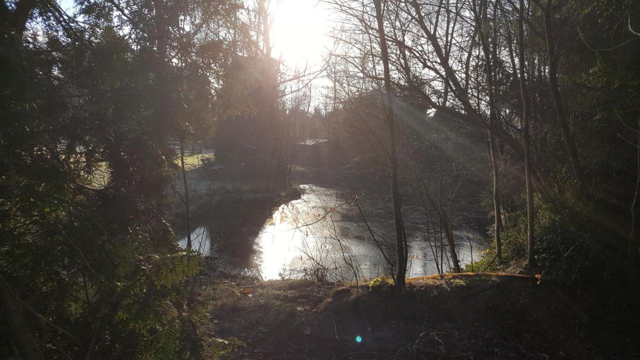 Reewold Veluwe Villa Putten Luaran gambar