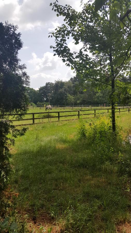 Reewold Veluwe Villa Putten Luaran gambar