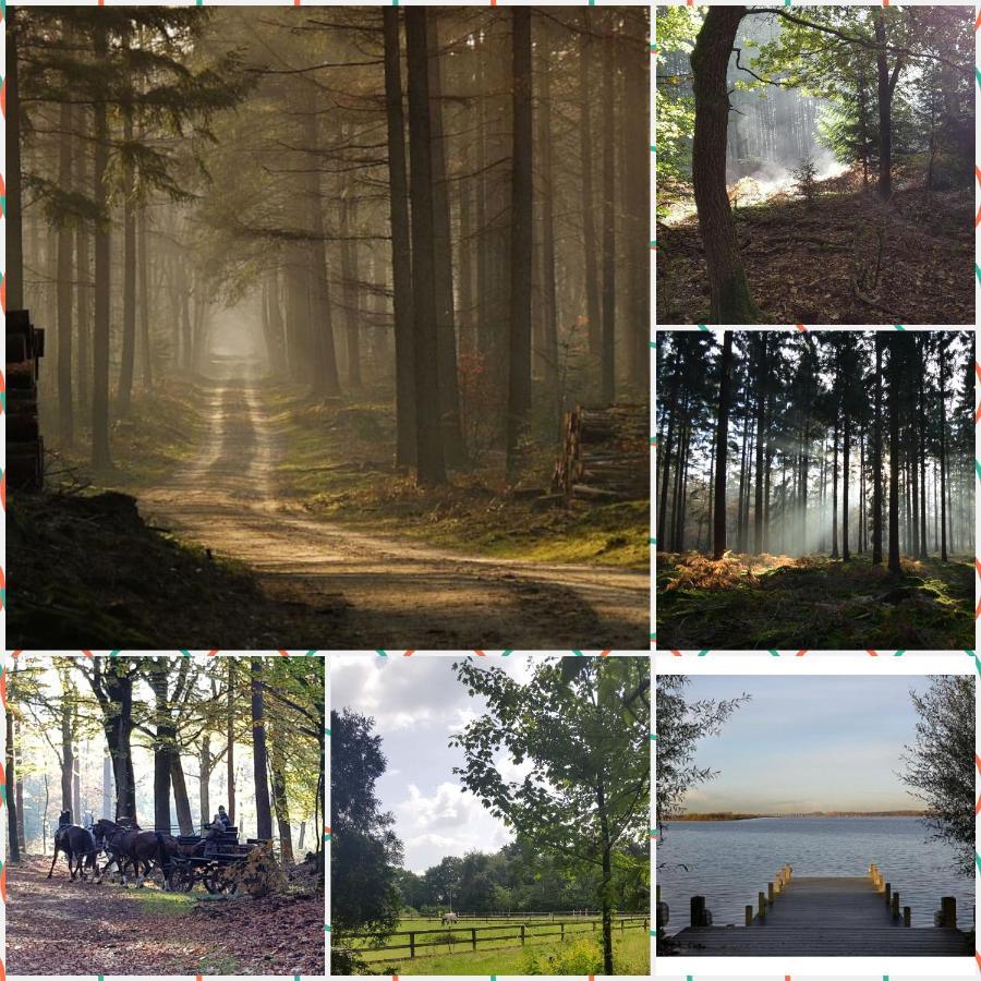 Reewold Veluwe Villa Putten Luaran gambar