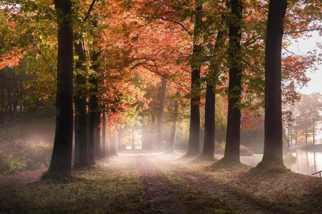 Reewold Veluwe Villa Putten Luaran gambar